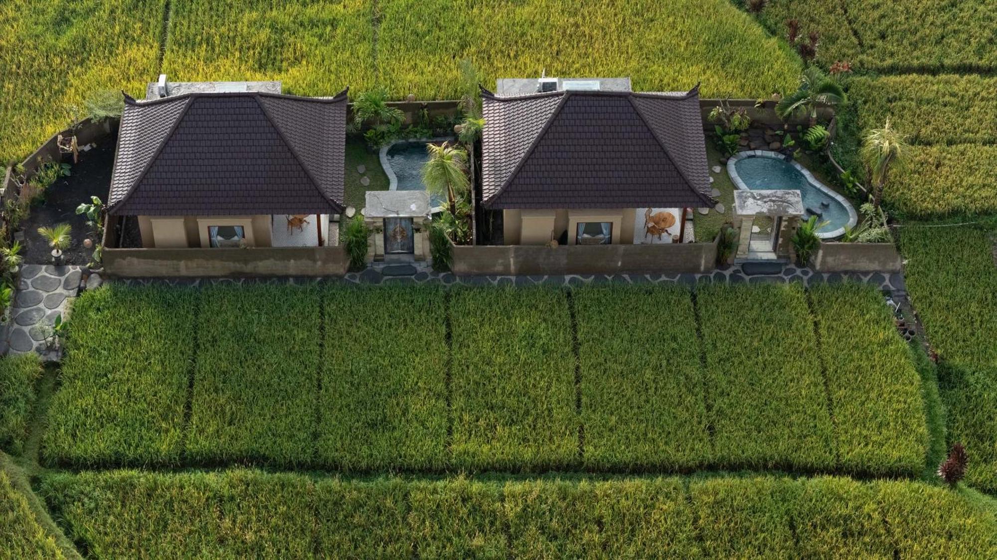 Sawah Sebatu Villa Ubud Exterior foto