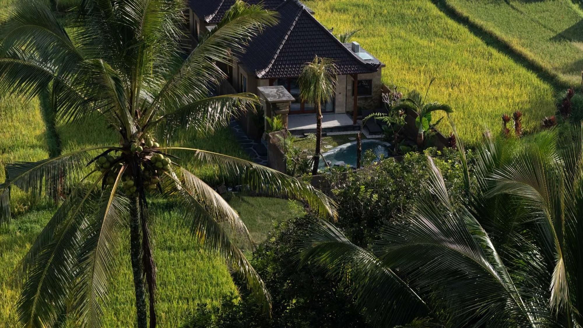 Sawah Sebatu Villa Ubud Exterior foto