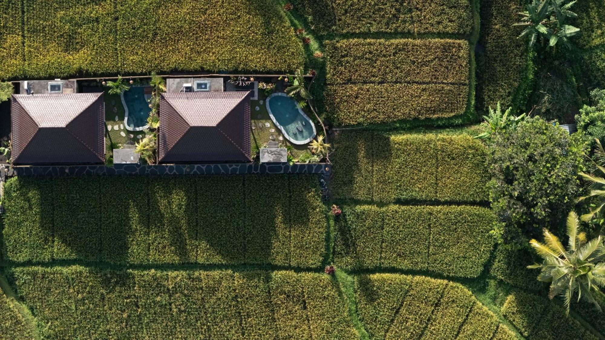 Sawah Sebatu Villa Ubud Exterior foto