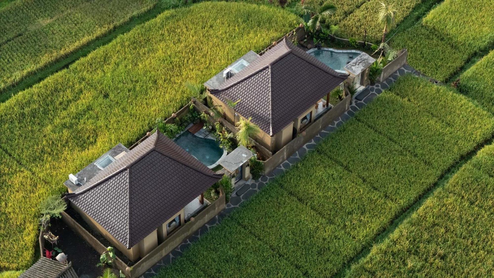 Sawah Sebatu Villa Ubud Exterior foto